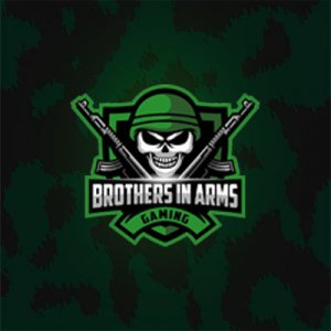 Brothers In Arms Gaming